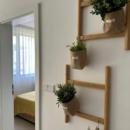 Sun Vibe Apartment *